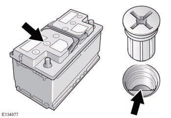 Unscrew the six cell plugs and store carefully.