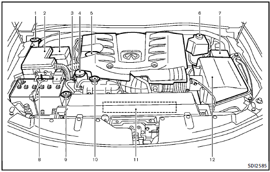 1. Window washer fluid reservoir