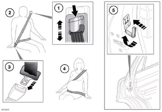 1. SEAT BELT HEIGHT ADJUSTMENT: Press to release the catch.