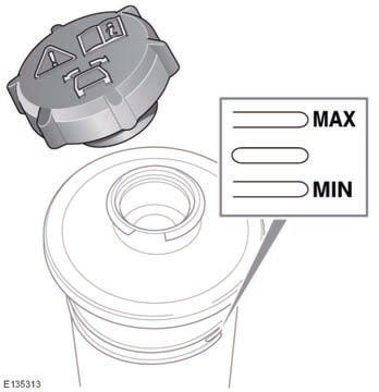 Check the level through the side of the transparent reservoir, without removing