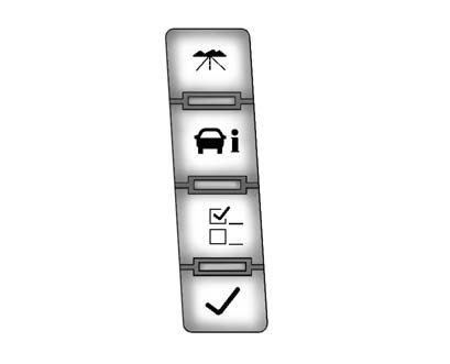 The buttons are the trip/fuel, vehicle information, customization, and set/reset